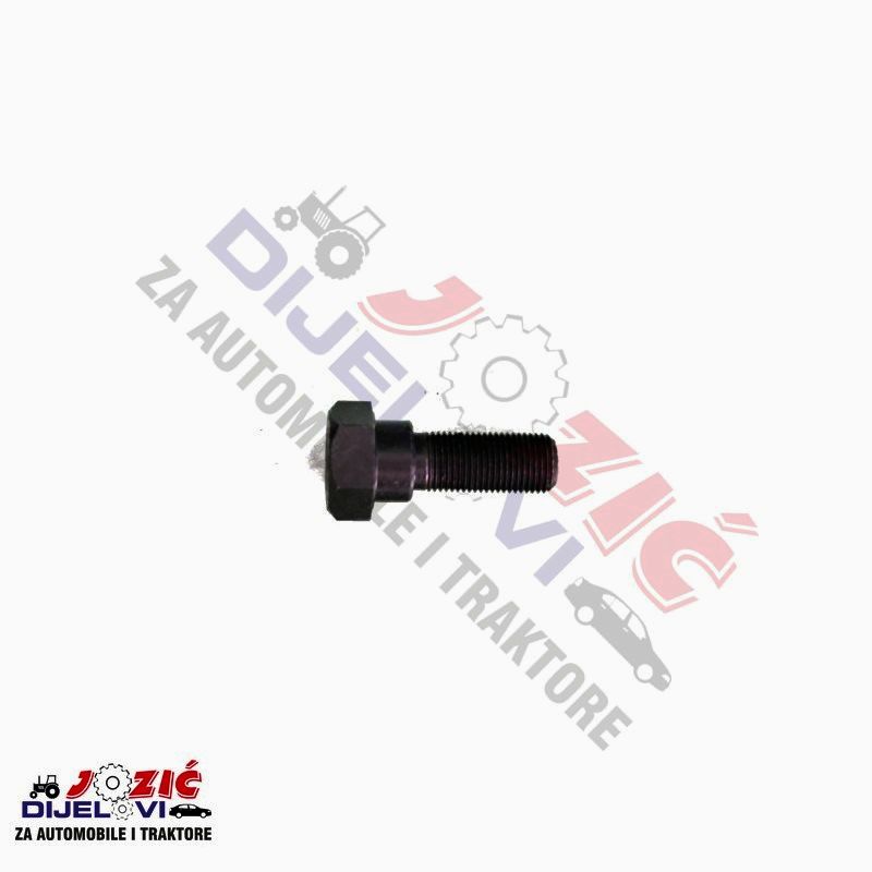 Daisy on the Ohoopee